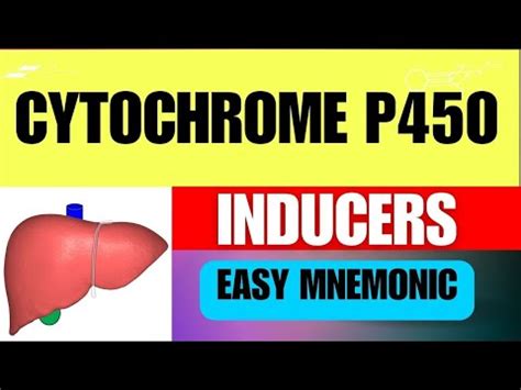 sickfaces.com mnemonic|Cytochrome P450 Enzymes .